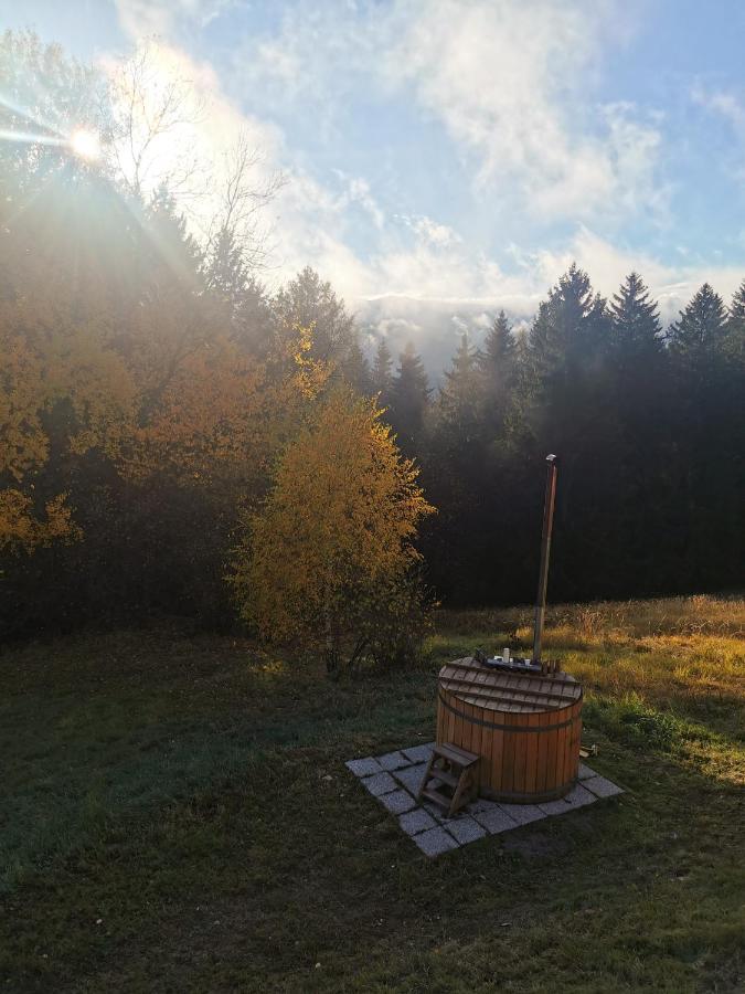 Das Koralpenchalet...Sonne, Wald, Natur! Trahutten 외부 사진